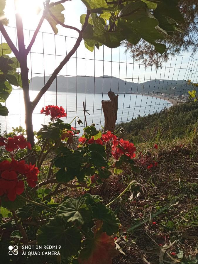Cozy Apartment Few Mins From Beach Corfu Agios Georgios Pagon Buitenkant foto
